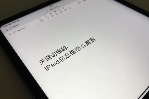 iPad密码忘记后怎么重置?