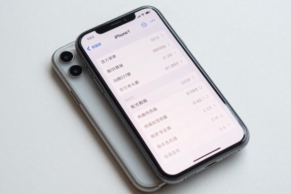 iPhone 11参数详情官方数据有哪些?