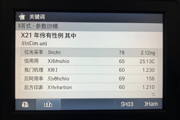 X21参数详情能给一份吗?