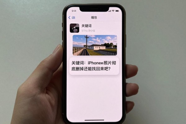 iPhone照片彻底删掉还能找回来吗