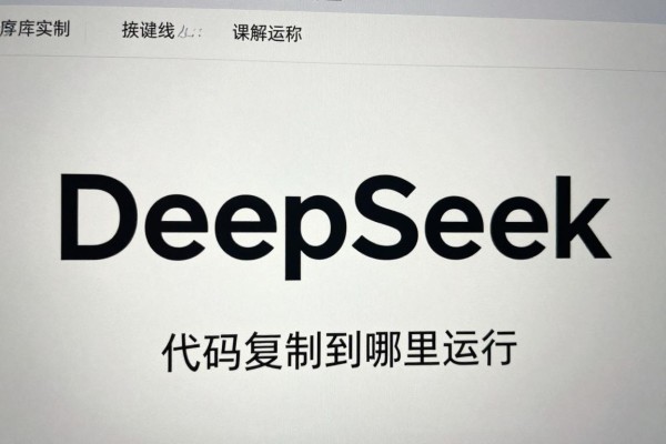DeepSeek代码复制到哪里运行?