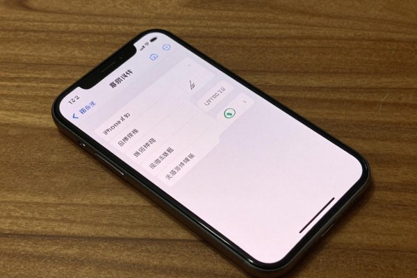 iPhone XS Max配置参数详情?