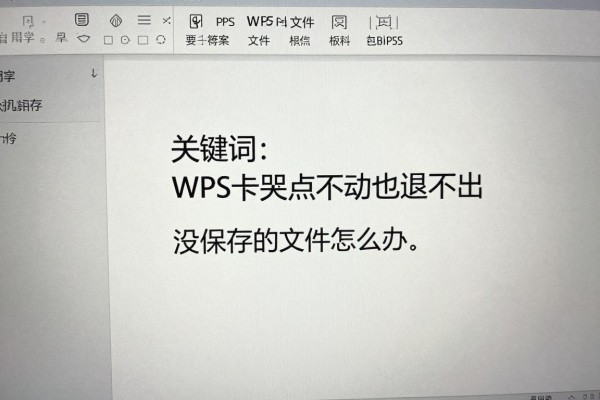 WPS卡死点不动也退不出,没保存的文件怎么办?