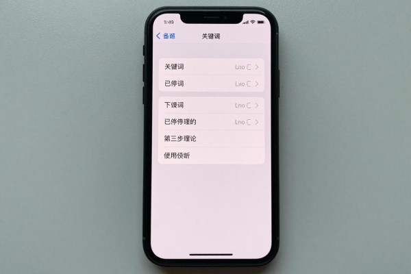 已停用的iPhone如何恢复使用？