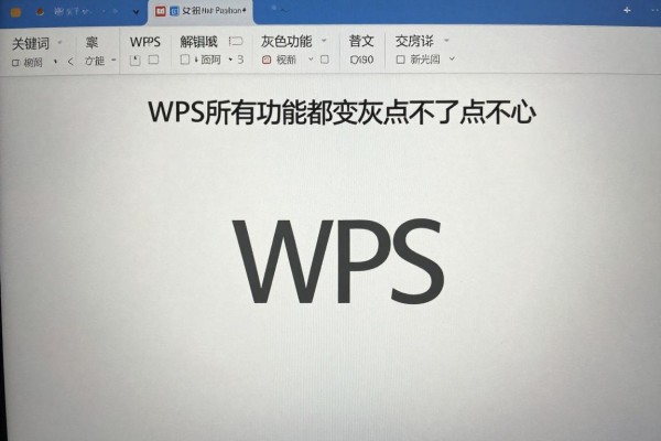 WPS所有功能都变灰色点不了怎么办
