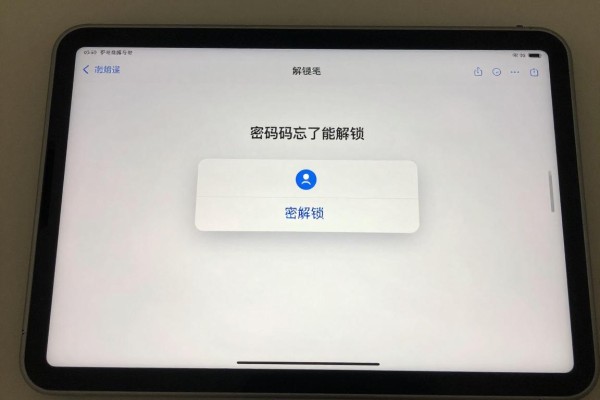 iPad密码忘了能解锁吗?