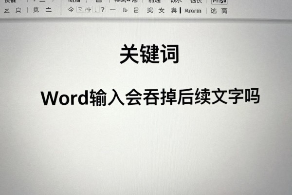Word输入会吞掉后续文字吗?