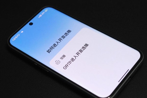 OPPO手机如何进入开发者选项?