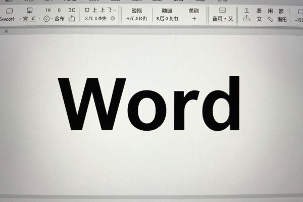 Word怎么让文字既水平又垂直居中?