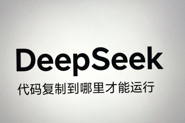 DeepSeek代码复制到哪里才能运行?