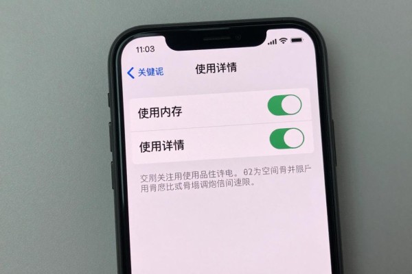 怎么在iPhone上查看内存空间使用详情？