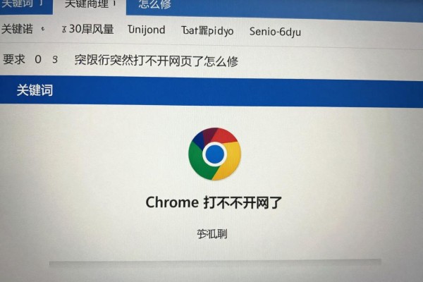 Chrome突然打不开网页了怎么修
