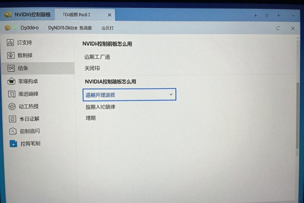 NVIDIA控制面板怎么用?