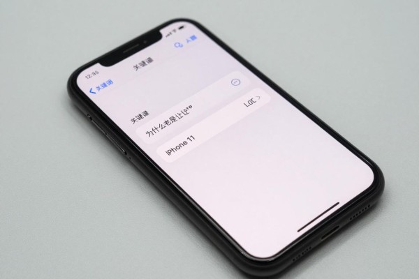 iPhone11为什么老是让输ID密码?